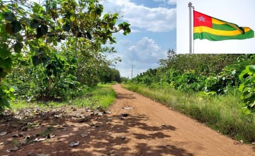 Le TOGO, petit pays au GRAND savoir-faire Le TOGO, petit pays au GRAND savoir-faire